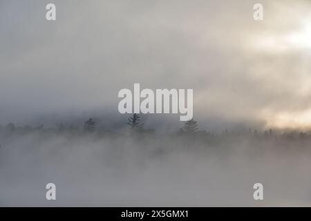 La Mauricie Nationalpark Wapizagonke See früh am Morgen. Nebel am Morgen über dem See mit Baumlinie in der Ferne. Sonnenaufgang hinter Baumgrenze Stockfoto