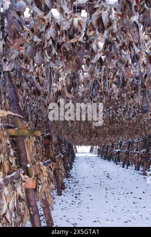 Island im Winter, malerische Landschaft Stockfoto