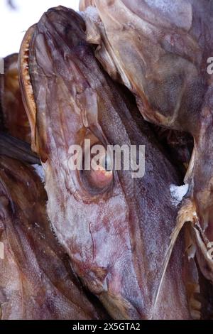 Island im Winter, malerische Landschaft Stockfoto