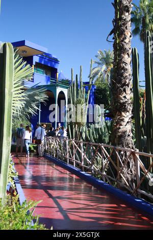 Majorelle Gardens, Marrakesch Marokko, YSL Stockfoto