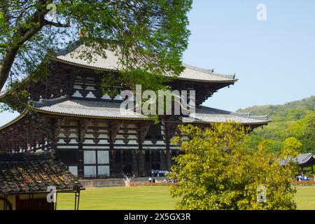 Szenen aus Nara Japan, einschließlich Tempel und Hirsche Stockfoto