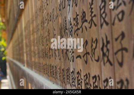 Szenen aus Nara Japan, einschließlich Tempel und Hirsche Stockfoto