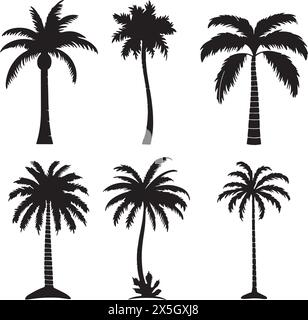 Verschiedene Tropische Palmen Set Stock Vektor