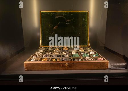 Exponate, Felsensammlung im Goethe-Nationalmuseum, Weimar, Thüringen Stockfoto