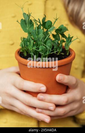 Ein Kind in einem leuchtend gelben Pullover hält zart einen Terrakotta-Topf mit einer grünen Pflanze. Sie sieht die Pflanze mit einem sanften Lächeln und einem Stockfoto