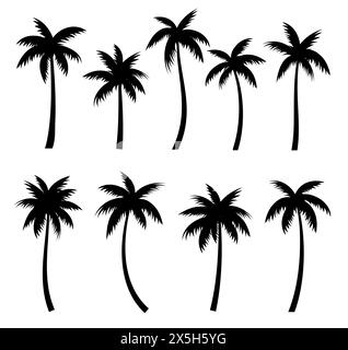 Palmen Silhouetten Sommer Set. Palmen isoliert auf weißem Hintergrund. Stock Vektor