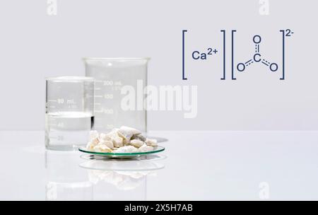 Calciumcarbonatchip in chemischem Uhrglas mit molekularer Struktur auf weißem Labortisch. Seitenansicht Stockfoto