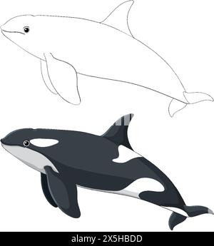 Einfache Vektorkunst eines Beluga- und Orca-Wals. Stock Vektor