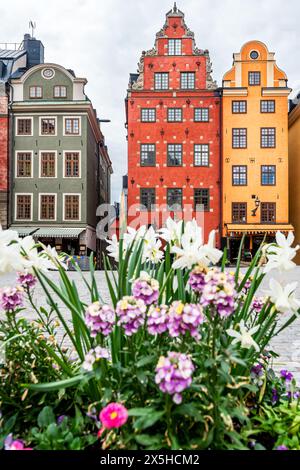 Stockholm. Stortorget (der große Platz) ist ein öffentlicher Platz in Gamla Stan, der Altstadt im Zentrum Stockholms, Schweden. Blick mit alten Häusern. Stockfoto