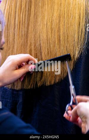 Ein Friseur glättet die langen Haare eines blonden Mädchens und schneidet die Enden ab Stockfoto