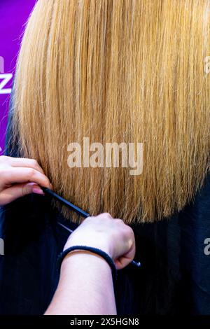 Ein Friseur glättet die langen Haare eines blonden Mädchens und schneidet die Enden ab Stockfoto