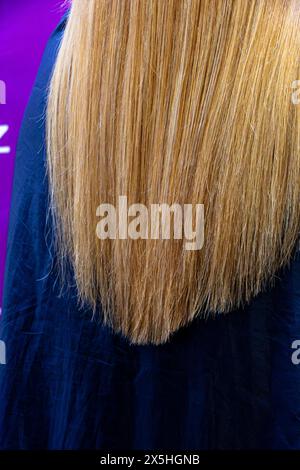 Ein Friseur glättet die langen Haare eines blonden Mädchens und schneidet die Enden ab Stockfoto