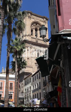 Romanilla Plaza mit Glockenturm der Kathedrale von Granada im Hintergrund Stockfoto