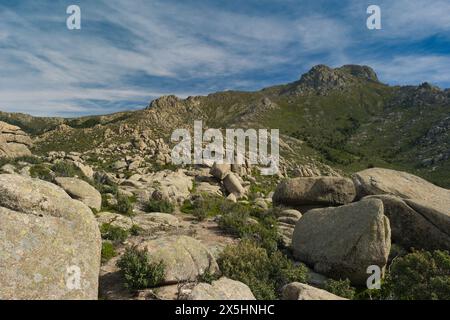 Frühlingsberglandschaft an einem sonnigen Tag in spanien in der Nähe von madrid Stockfoto