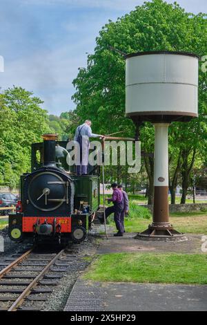 Die Earl Steam Engine bei der Welshpool and Llanfair Railway, Welshpool, Powys, Wales Stockfoto