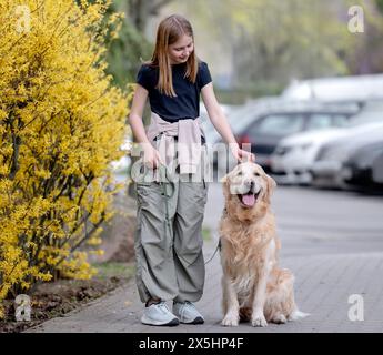 Mädchen Schlendert Mit Golden Retriever Im Frühling Die Straße Runter Stockfoto