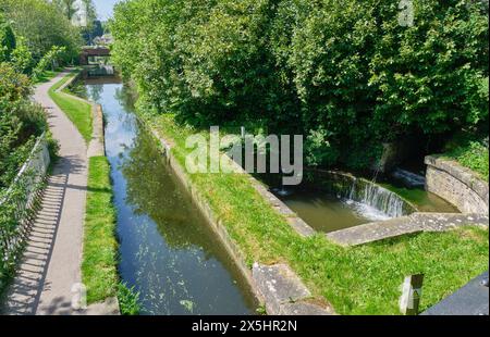 Der Lledan Brook fließt unter dem Montgomery Canal in Welshpool, Powys, Wales Stockfoto