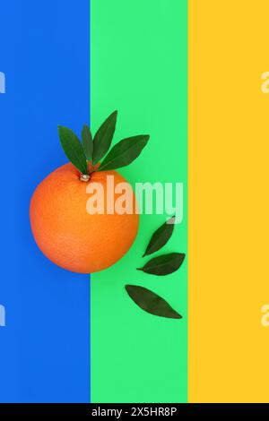 Orange Zitrusfrucht für gute Gesundheit abstraktes Design auf gelbem, blauem, grünem Hintergrund. Reich an Bio-Flavonoiden, Antioxidantien, Vitamin C. Stockfoto