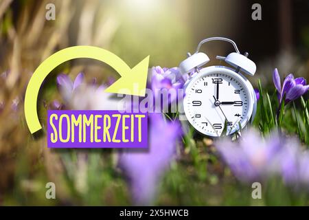 FOTOMONTAGE, Weißer Wecker inmitten von Frühlingsblumen mit Schriftzug Sommerzeit, Symbolfoto Zeitumstellung auf Sommerzeit Stockfoto