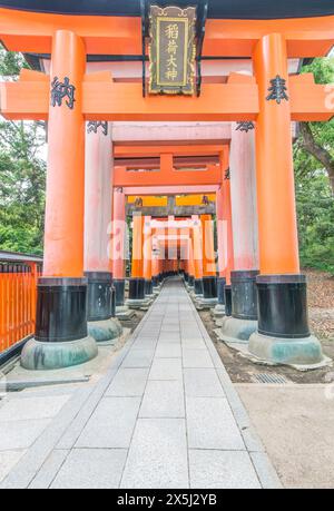 Japan, Kyoto. Großer Schrein Von Fushimi Inari, Tausend Tore Stockfoto