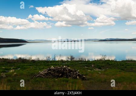 Ruhiger Seeblick mit reflektierendem Himmel und ruhiger Wildnis Stockfoto