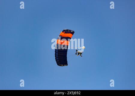 Tandem-Fallschirmspringer Steigen Unter Dem Pulsierenden Fallschirm Hinab Stockfoto