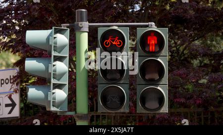 Mit einem doppelten Ampelsystem, das sowohl für Radfahrer als auch für Fußgänger konzipiert wurde, vor einem Hintergrund üppiger Grünflächen. Dieses Bild zeigt städtebauliche und sicherheitstechnische Merkmale in einem modernen Stadtumfeld Stockfoto