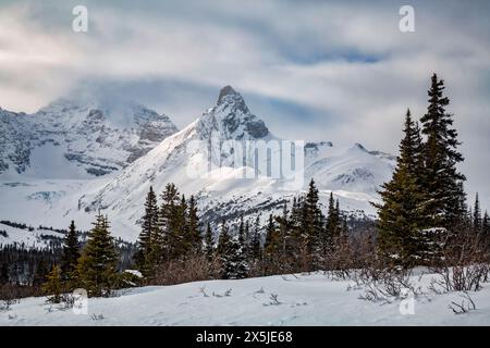 Kanada, Alberta, Banff National Park. Hilda Peak im Winter Stockfoto