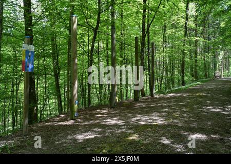 Turnringe, Fitnessgeräte im Wald, die von Menschen zum Sport genutzt werden, in der Nähe von Urdorf, Schweiz. Stockfoto