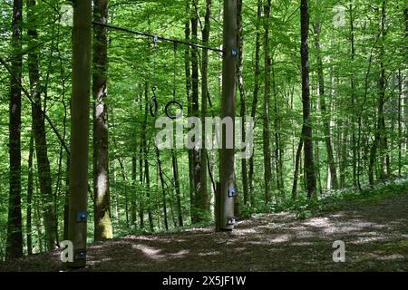 Turnringe und andere Fitnessgeräte befinden sich im Wald bei Urdorf, Schweiz, und stehen für die öffentliche Nutzung und Bewegung zur Verfügung. Stockfoto