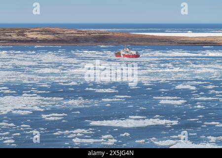 Eisbrecher der kanadischen Küstenwache in der Straße von Belle Isle, Neufundland und Labrador, Kanada. Stockfoto