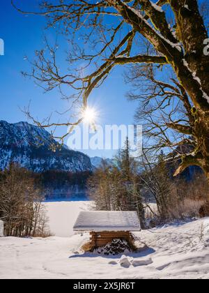 Landschaft am Freibergsee. Die Allgauer Alpen bei Oberstdorf im Winter in Bayern. Stockfoto