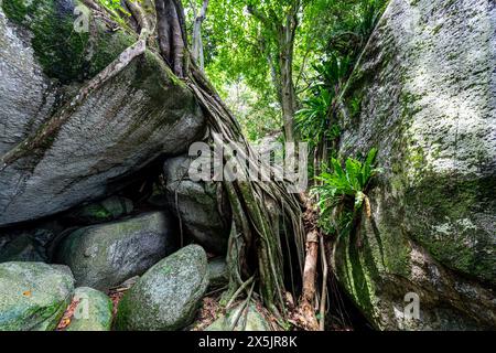 Riesige Granitfelsen auf Pulau Kelayang, Insel Belitung vor der Küste von Sumatra, Indonesien, Südostasien, Asien Copyright: MichaelxRunkel 1184-10823 Stockfoto