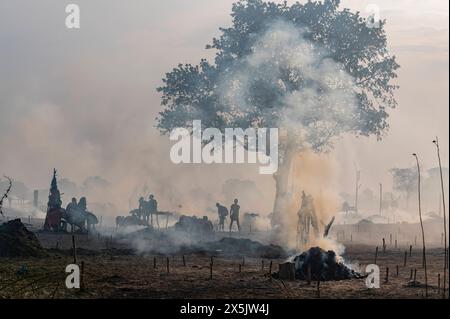 Hintergrundbeleuchtetes Foto eines Mundari-Rinderlagers, Mundari-Stammes, Südsudan, Afrika Copyright: MichaelxRunkel 1184-11048 Stockfoto