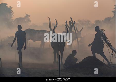 Hintergrundbeleuchtetes Foto eines Mundari-Rinderlagers, Mundari-Stammes, Südsudan, Afrika Copyright: MichaelxRunkel 1184-11049 Stockfoto