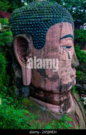 Leshan Giant Buddha, der größte Stein-Buddha der Welt, Mount Emei Scenic Area, UNESCO-Weltkulturerbe, Leshan, Sichuan, China, Asien Copyright: Mi Stockfoto