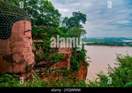 Leshan Giant Buddha, der größte Stein-Buddha der Welt, Mount Emei Scenic Area, UNESCO-Weltkulturerbe, Leshan, Sichuan, China, Asien Copyright: Mi Stockfoto