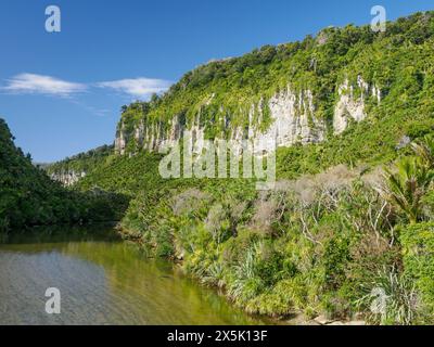 Pororari River, Westküste, Südinsel, Neuseeland, Pazifik Copyright: MelissaxKuhnell 1242-605 Stockfoto