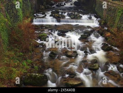 West Lyn River, Glen Lyn Gorge, Lynmouth, North Devon, England, Vereinigtes Königreich, Europa Copyright: GeraintxTellem 1365-452 Stockfoto