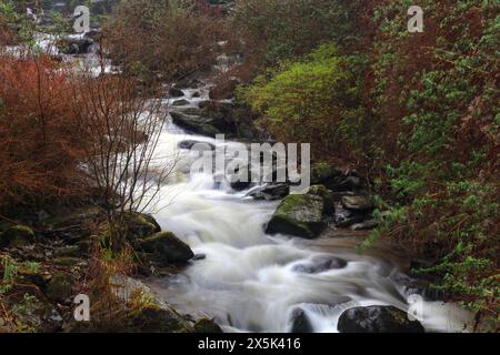West Lyn River, Glen Lyn Gorge, Lynmouth, North Devon, England, Vereinigtes Königreich, Europa Copyright: GeraintxTellem 1365-453 Stockfoto