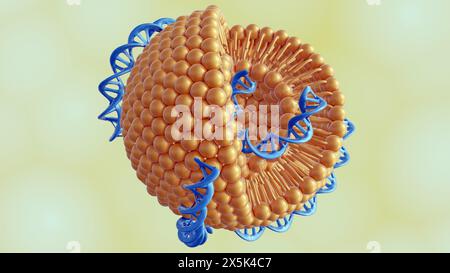 3D-Darstellung von DNA-Helixen-konjugierten Liposomen als DNA-Liposomenkomplex Stockfoto