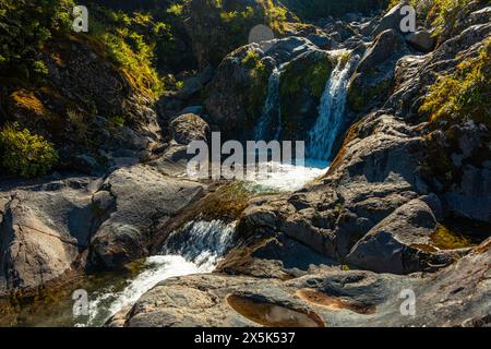 Wilkies Pools, warmes Sonnenlicht auf Wasserfällen im Mount Taranki National Park, Nordinsel, Neuseeland, Pazifik Copyright: CasparxSchlageter 1372-147 Stockfoto