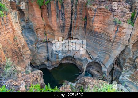 Blick auf den Komplex aus glatten, zylindrischen Schlaglöchern und natürlichen Felsskulpturen im Bourke's Luck Potholes, Blyde River Canyon Nature Reserve, Moremela, MP Stockfoto