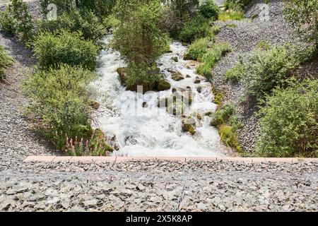 Der Fluss fließt durch felsige Gebiete mit Bäumen, Büschen und Bodenbedeckung Stockfoto