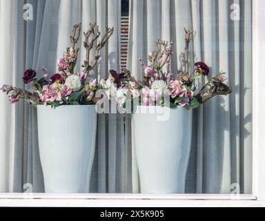 Holland, Niederlande, Schagen. Zwei weiße Blumentöpfe mit Blumen an einem Fenster eines Hauses im Dorf Schagen. Stockfoto