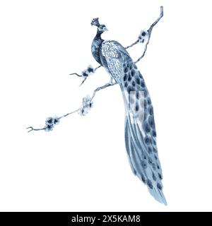 Pfauenvogel auf Blütenbaumzweiggemälde. Blaues Indigo monochrome Komposition. Handgezeichnete Aquarellillustration isoliert auf weißem Hintergrund. Stockfoto