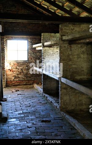 Polen, Oswiecim, Auschwitz-Birkenau. Kaserne aus der Kaserne, Gefangenenplattformen. Stockfoto