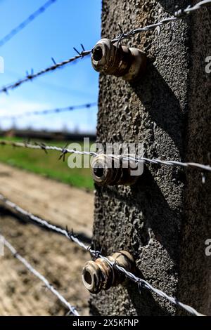 Polen, Oswiecim, Auschwitz-Birkenau. WWll, Stacheldraht um das Konzentrationslager und die Kasernen. Stockfoto