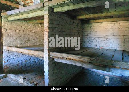 Polen, Oswiecim, Auschwitz-Birkenau. Kaserne, Plattformbetten. Stockfoto