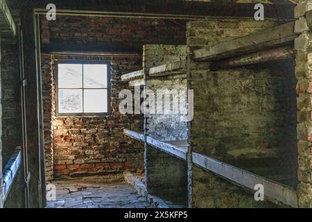 Polen, Oswiecim, Auschwitz-Birkenau. Kaserne aus der Kaserne, Gefangenenplattformen. Stockfoto